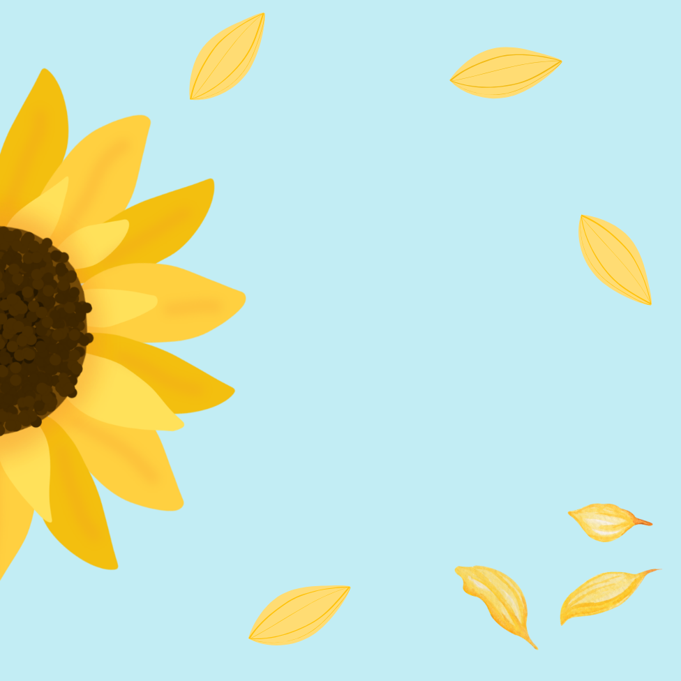 Breezy Sunflower Post-it® Note Pads